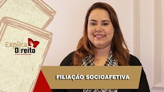 Explica Direito Filiação Socioafetiva  2019 [upl. by Notnil]