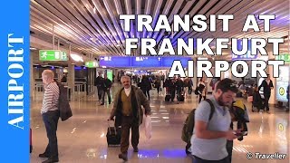 TRANSIT WALK AT FRANKFURT Airport FRA Terminal 1  Connection Flight Transfer Arriving amp Departing [upl. by Chase]